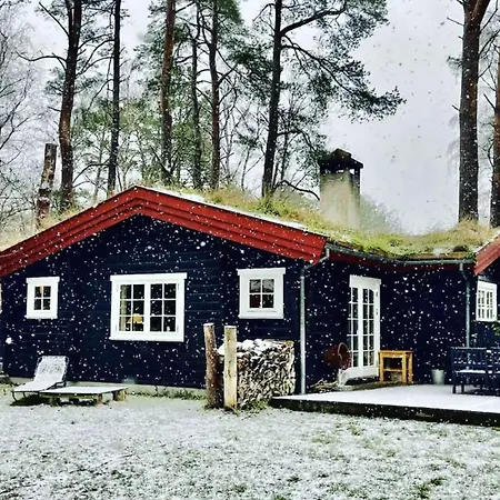 Charming Log House In Asserbo's Nature Frederiksværk