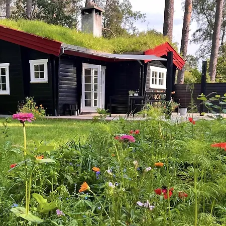 Nyaraló Charming Log House In Asserbo's Nature