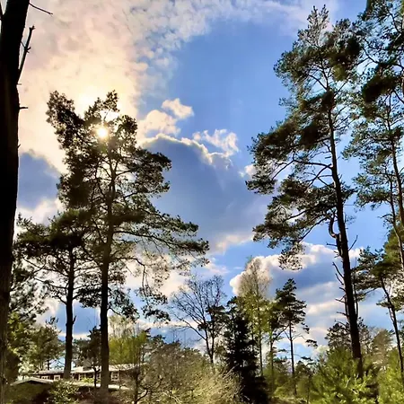 Charming Log House In Asserbo's Nature
