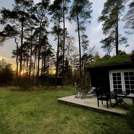 Charming Log House In Asserbo's Nature *