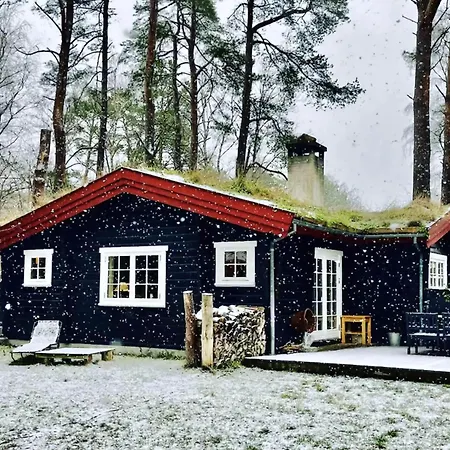 Charming Log House In Asserbo's Nature Feriehus